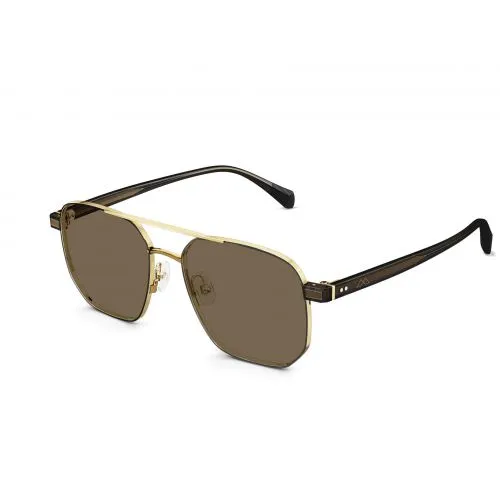 Molsion MS7170 A62 55